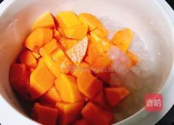 冰糖木瓜炖雪哈的做法图解6