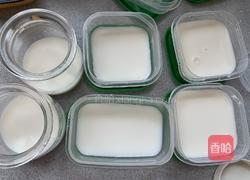 自制果冻（吉利丁片）的做法图解10