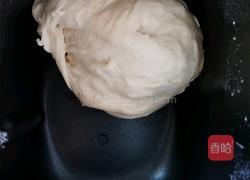 毛毛虫面包的做法图解3