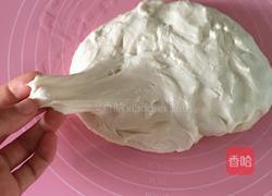 葱花饼的做法图解5