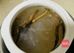 Low-key, luxurious and connotative cordyceps stewed bird's nest recipe illustration 3