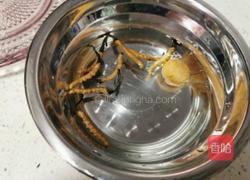 几步就能搞定的虫草鸡汤的做法图解1