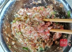 吃不够的外酥里嫩的乾坤肉丸的做法图解5