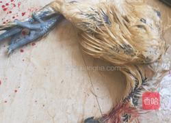 椰子煲鸡汤的做法图解4