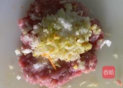 香煎抄手的做法图解1