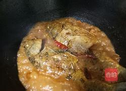 酱焖鲫鱼的做法图解8