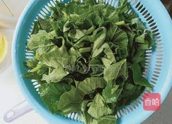 家常香炒南瓜叶的做法图解3