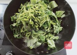 家常香炒南瓜叶的做法图解5