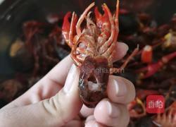 麻辣小龙虾的做法图解2