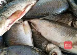 Illustration of how to make crispy crucian carp 1