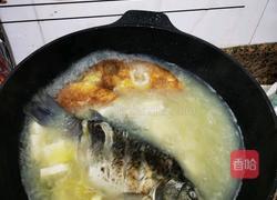 鲫鱼豆腐汤的做法图解6