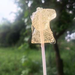 水果棒棒糖
