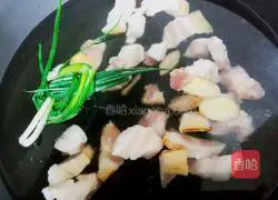 Illustration of braised pork 2