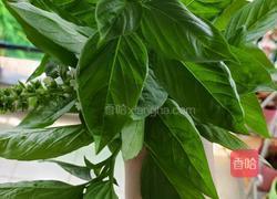 三杯鸡的做法图解1