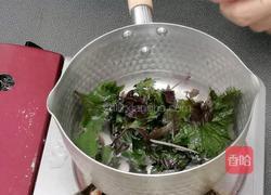 超简单的紫苏牛肉汤的做法图解4