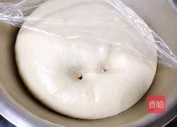 香酥鸡排堡的做法图解13