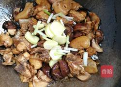 黄焖鸡的做法图解4