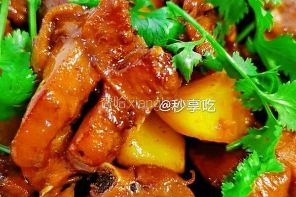 鸡肉焖土豆