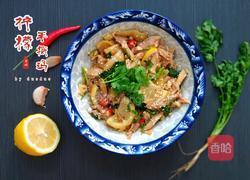 柠檬手撕鸡（简易版）的做法图解11