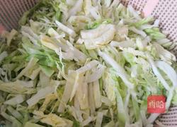 京菜包子的做法图解4