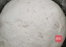 京菜包子的做法图解7