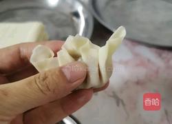 香菇胡萝卜肉馅蒸云吞的做法图解4