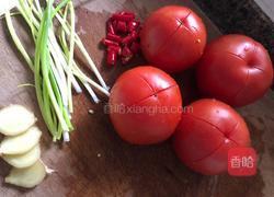 砂锅番茄牛腩煲的做法图解2