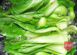 蚝油油菜的做法图解1