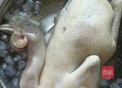 香葱白切鸡的做法图解7