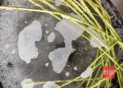 枸杞叶瘦肉汤的做法图解4