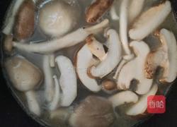 菌菇素菜鸡汤面的做法图解3