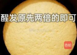 玉米面馒头的做法图解5