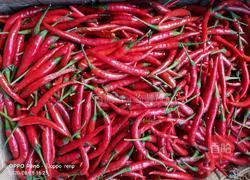 自制湖南（纯手工）剁辣椒的做法图解1