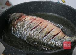 独家红烧鲫鱼的做法图解2