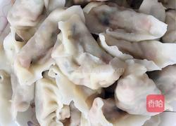 包心菜木耳海米素馅饺子的做法图解8