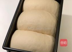 100%全麦吐司的做法图解13