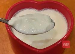 双皮奶的做法图解7