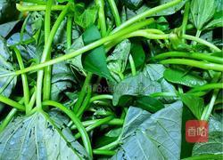 猪油炒红薯苗的做法图解1