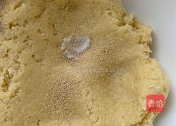 椰蓉小饼的做法图解6