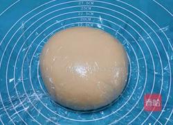 红薯餐包的做法图解7