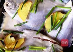 石锅白鲳鱼的做法图解1