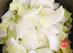 白菜胡萝卜炖豆腐的做法图解1