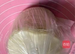 蔬菜煎饺的做法图解5