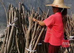 女人一定要吃的玉灵膏气血双补滋养心血的做法图解10