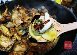 鸡肉炖土豆的做法图解13