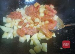 番茄土豆炖排骨的做法图解6