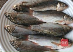 野鲫鱼老豆腐汤的做法图解1