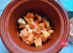 木瓜炖牛奶的做法图解5