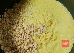 小米燕麦南瓜粥的做法图解3