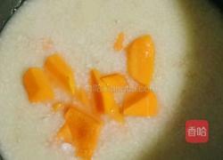 小米燕麦南瓜粥的做法图解7